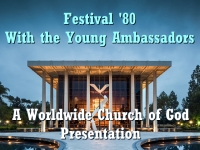Watch  Festival '80 - With the Young Ambassadors