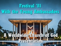 Watch  Festival '81 - With the Young Ambassadors