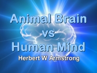 Listen to Animal Brain vs Human Mind
