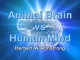 Animal Brain vs Human Mind