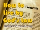 How to Live by God's Law