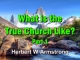 What is the True Church Like? Part 1