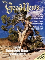 WHY God Hates Gossip!
Good News Magazine
January 1982
Volume: Vol XXIX, No. 1
Issue: ISSN 0432-0816